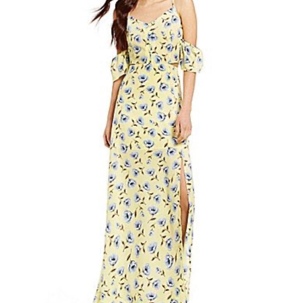 Blue Pepper womens printed Maxi Dress size large NWT